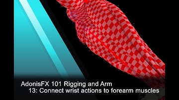 AdonisFX Tutorials 101 - Rigging an Arm - 13: Connect wrist actions to forearm muscles (version 1.4)