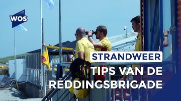 Met deze tips kun jij naar het strand