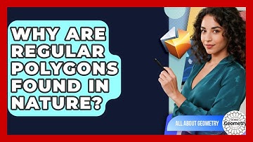 Why Are Regular Polygons Found In Nature? - All About Geometry