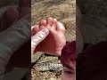CHE ROBA È!?!🤔💫😂