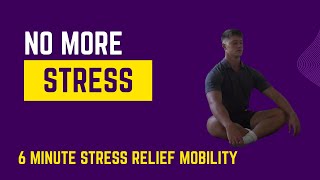 6 Minute Stress Relief Mobility Session
