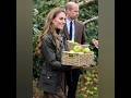 princess of Wales Catherine and prince William harvesting 🍎 apples