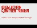 Дмитрий Травин / Особенности модернизации в Сингапуре // 30.11.21