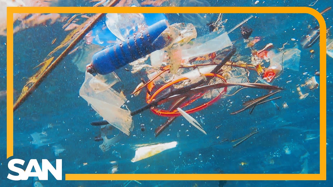 Scientists discover plasticeating fungus in ocean environments YouTube