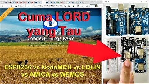 ESP8266 vs NodeMCU vs Lolin vs Amica vs Wemos vs ESP01 dan Cara Menggunakan ESP8266 di Arduino IDE