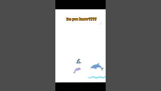 Dolphins Species In India Their Iucn Status