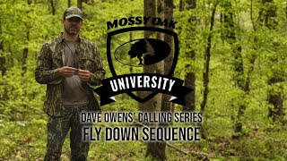 Dave Owens’ Turkey Calling Tips: FLYDOWN SEQUENCE by Mossy Oak 2,199 views 1 month ago 2 minutes, 21 seconds