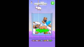 : Capybara Friends Livestream