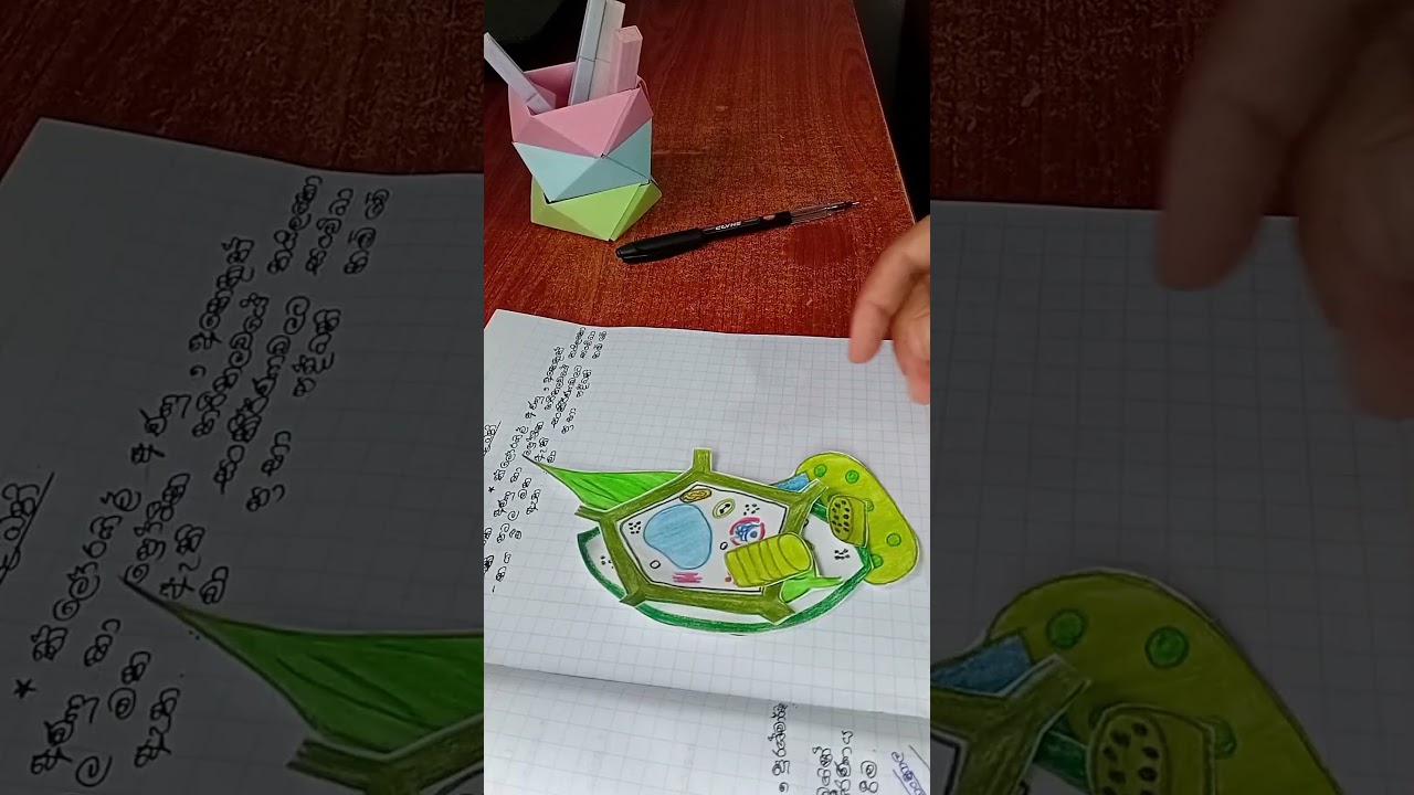 ප්රභා පද්ධති diagram 