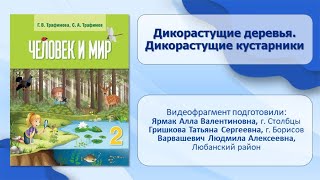 Тема 5. Дикорастущие деревья. Дикорастущие кустарники