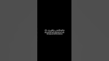 #قرآن #سورة_الانفال الايات 61 _ 62 بتلاوه الشيخ ياسر الدوسري  #كرومات #fyp