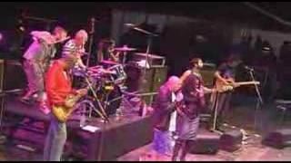 Happy Mondays: Rats With Wings Live at Fuji Rock 2007