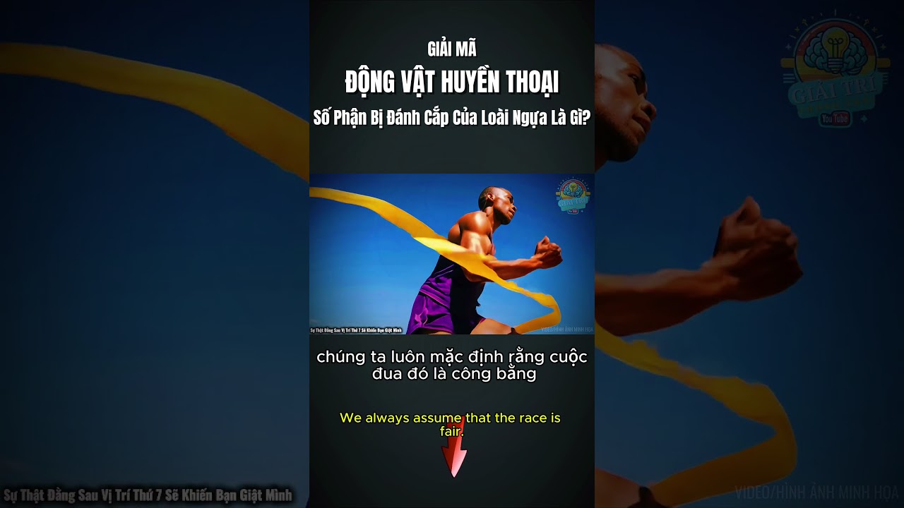 Bí Ẩn 12 Con Giáp: Tại Sao Ngựa Lại Về Đích Thứ 7 Dù Chạy Nhanh Nhất?