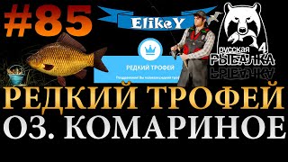 Редкий Трофей! • Поход за Карасем • Фидер • Удачная Рыбалка • Оз. Комариное • Русская Рыбалка 4 #85