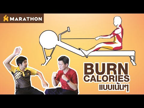 Fittalk Ep.11 กรรเชียงบก เบิร์นเน้นๆ (เเถม Weight ด้วย)