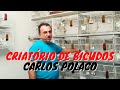 Criatório de Bicudos (Carlos Polaco)