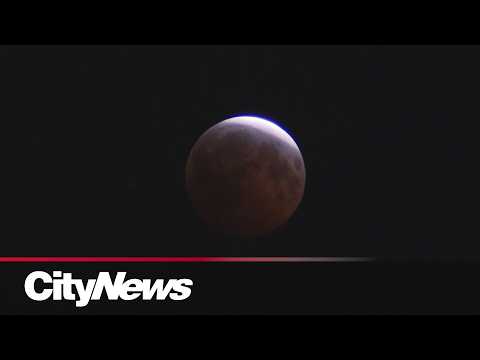 Partial lunar eclipse brings out star gazers: 'It's simply amazing'