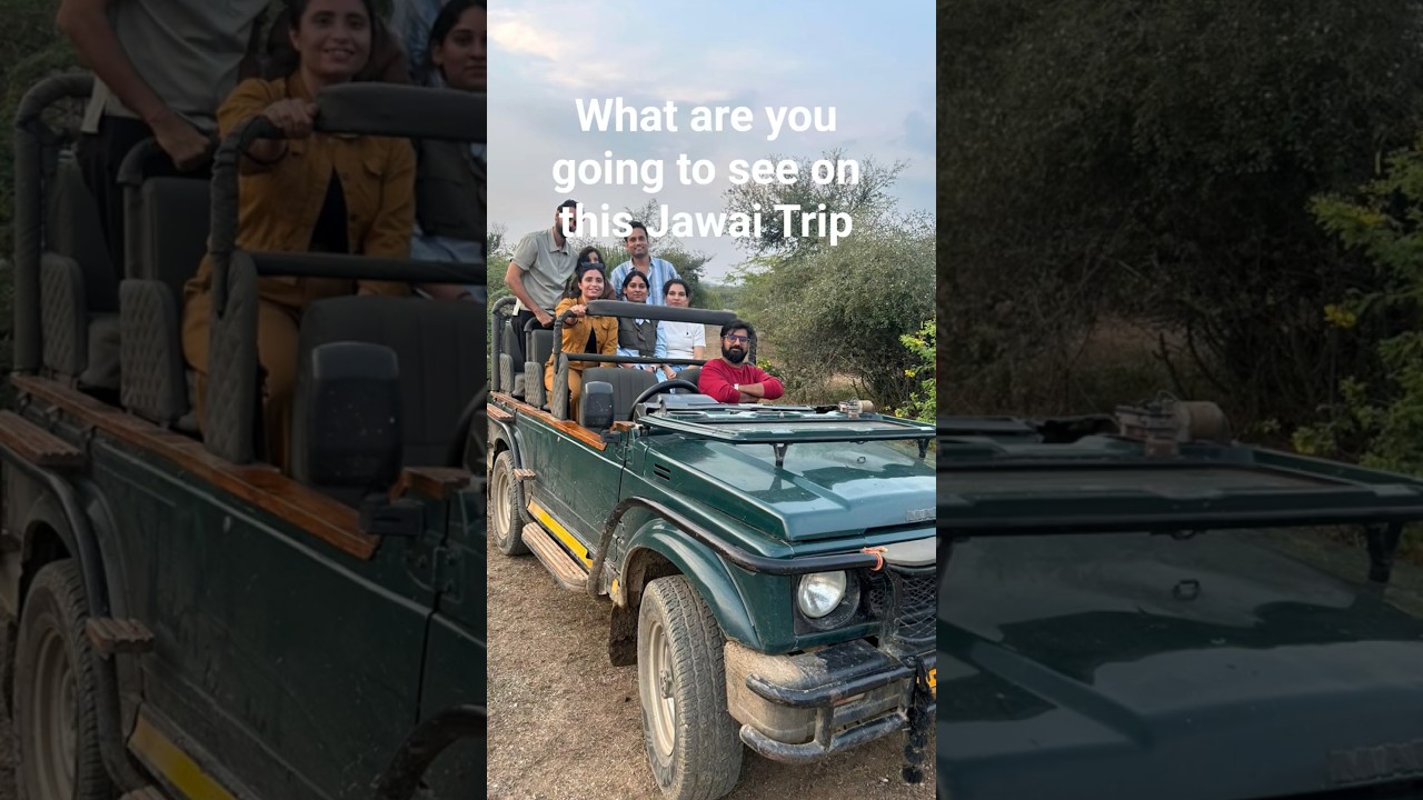 Jaipur to Jawai Road trip #jawai #tatasafari #roadtrips #travel