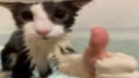 not a final startup test lol (APBRCG | Devlog 1)