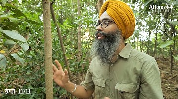 Ch:11 | Growth Monitoring | Forest Creation Tutorials | Punjabi