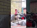 Core Drill Machine Tool Precision Cuts Perfect Wall Holes
