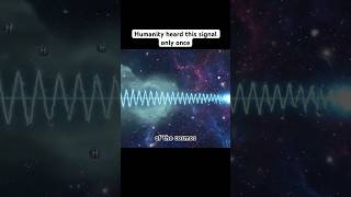 "The Signal Humanity Only Heard Once" | Holoverse