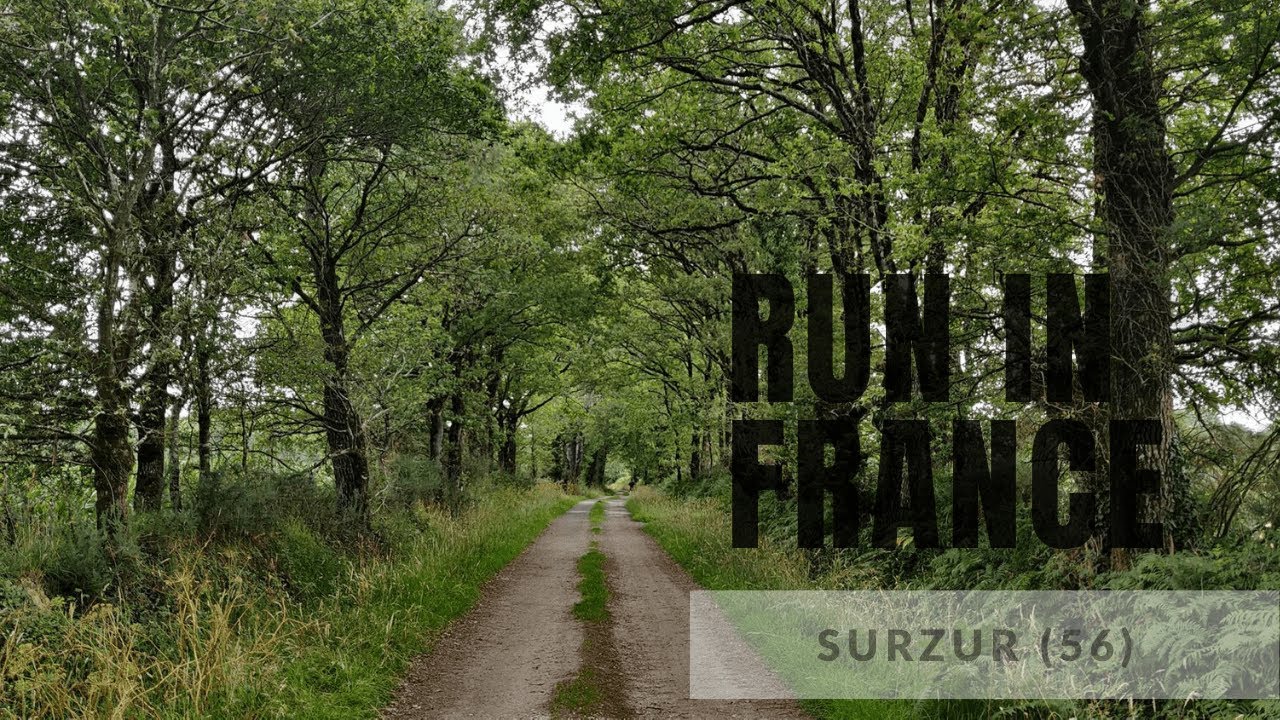 Virtual Run | French Scenery By the Forest for your Virtual Treadmill Workout