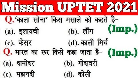 UPTET 2021 || Junior Super TET EVS Most Important Questions || Super TET