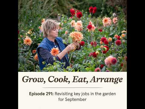 Revisiting key jobs in the garden for September - Episode 291