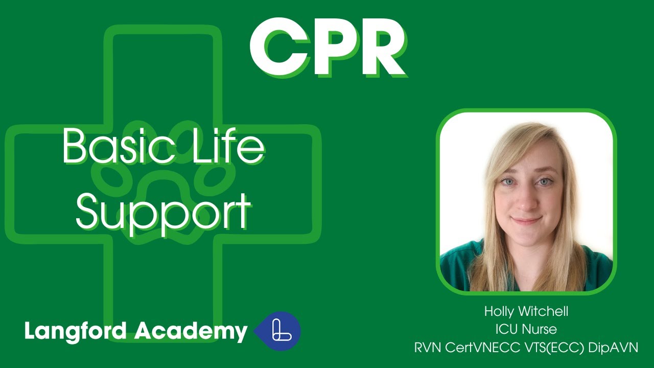 CPR Part 2: Basic Life Support - YouTube