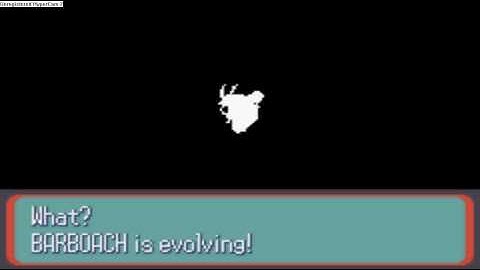 barboach evolueert in whiscash