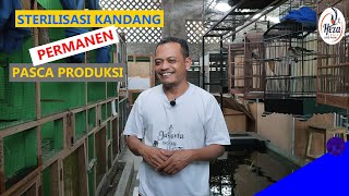 STERILISASI KANDANG PERMANEN PASCA PRODUKSI