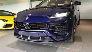Lamborghini Urus paint protection by BCSignature