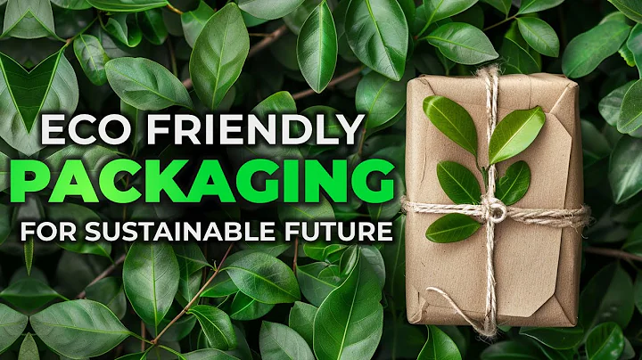 Importance of Eco-Friendly Packaging in the Food Industry for a Sustainable Future