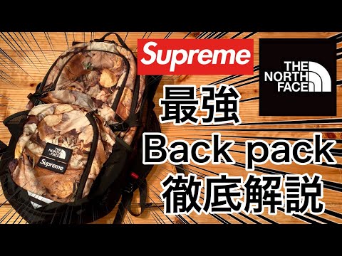 supreme 枯葉　バックパック　リュック Supreme×THE NORTH FACE 'Leaves Pocono Backpack'バックパック
