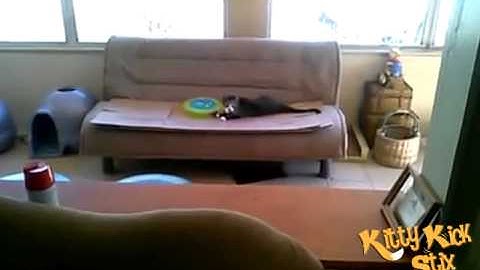 The Kitty Kick Stix Popular 15" Cat Toy