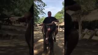 Bill Ganz on the Elephant in Chiang Mai, Thailand