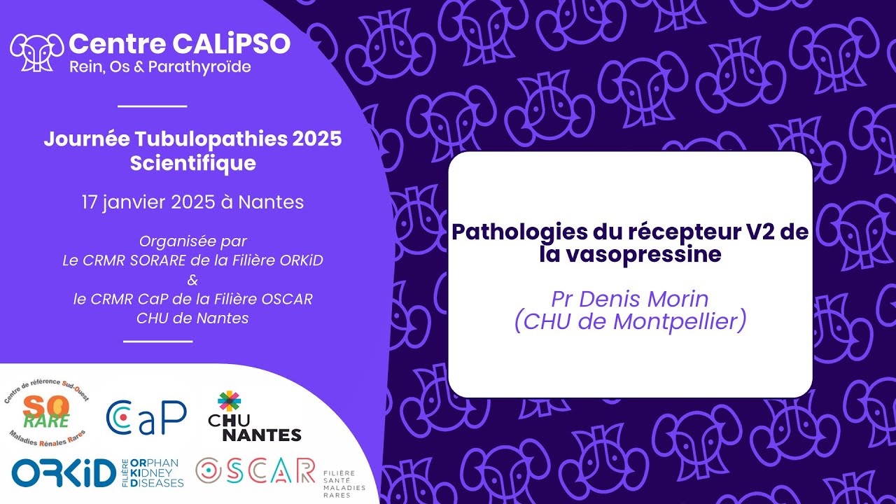 Tubulopathies 2025 : Pathologies du récepteur V2 de la vasopressine | Pr Denis Morin (3/8)