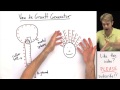 Van de Graaff Generator Concepts