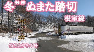 冬のぬまた踏切を通過するキハ261系特急とかち4号　根室線（2024年３月４日）にて