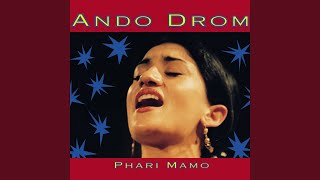 Video thumbnail of "Ando Drom - O Nanasi"