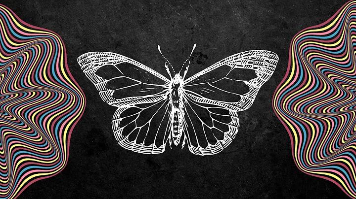 The Butterfly Effect EXPLAINED: And How it Can Change Your Life!