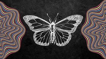 The Butterfly Effect EXPLAINED: And How it Can Change Your Life!