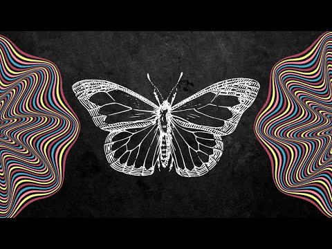 The Butterfly Effect EXPLAINED: And How it Can Change Your Life!