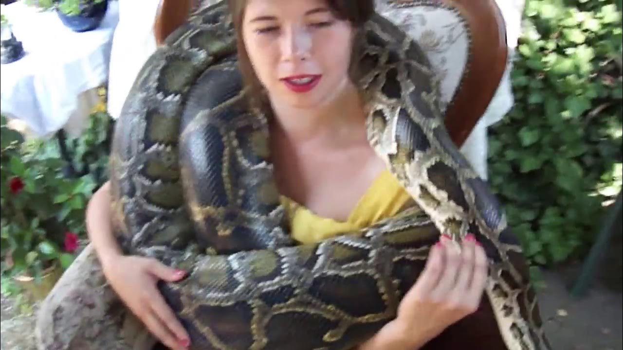 Girl is wrapped with big snake YouTube