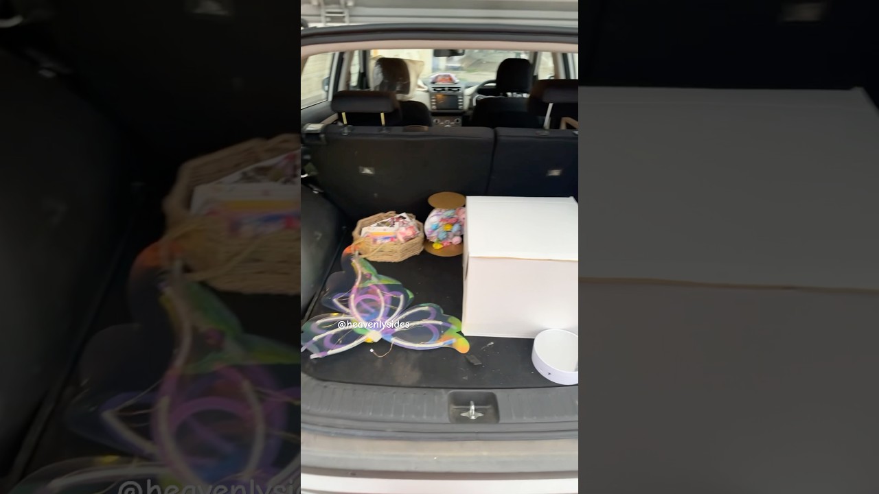 Moving butterfly cake🦋 