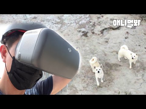 فيديو: كيفية الحفاظ على وعاء الكلب من التجمد
