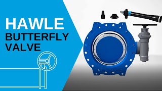 Hawle Double Eccentric Butterfly Valve | Design & Operation Principle