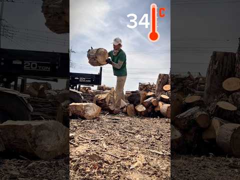 Splitting woods doesn’t sound fun anymore #woodworking #firewood #splittingwood #woodcutting
