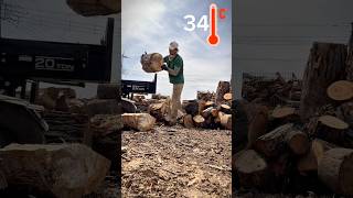 Splitting woods doesn’t sound fun anymore #woodworking #firewood #splittingwood #woodcutting
